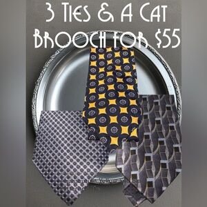 3 Geometric Patterned Ties & A Jeweled Cat Brooch Set $55
